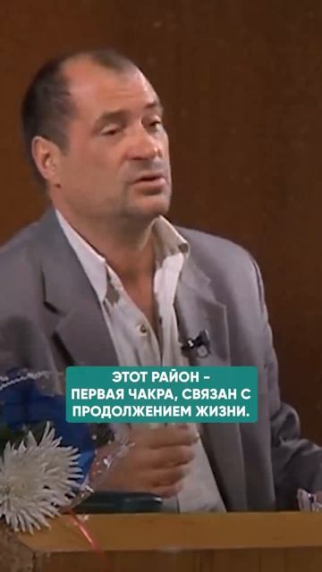 ПСИХОСОМАТИКА БОЛЕЙ В КОПЧИКЕ, ПОЗВОНОЧНИКЕ #здоровье #психосоматика смотреть онлайн