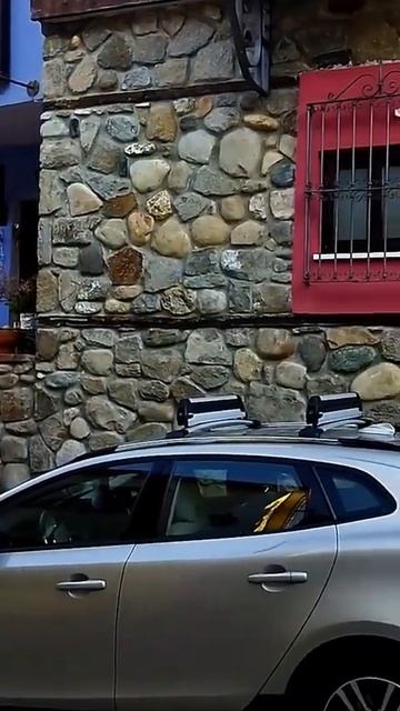 Светлана Кутузова