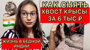 Сняла крысиный хвост за 6 тыс ₽ в Индии. Дорогая жизнь в бедной Индии. Может, обманули?