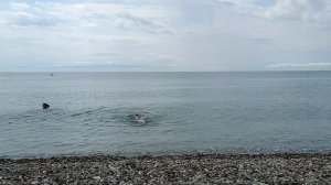 Абхазия Пицунда Лдзаа/под водой