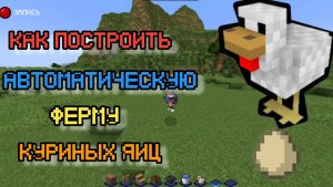 Как построить автоматическую ферму куриных яиц в Майнкрафт