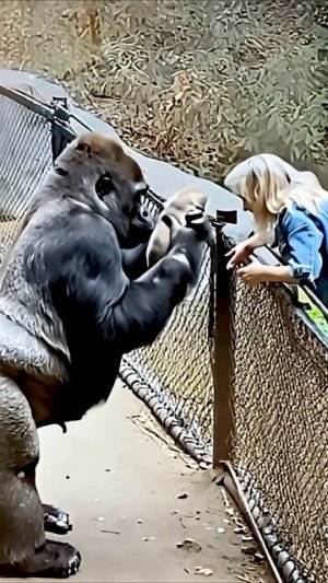 Они умнее чем мы думаем...