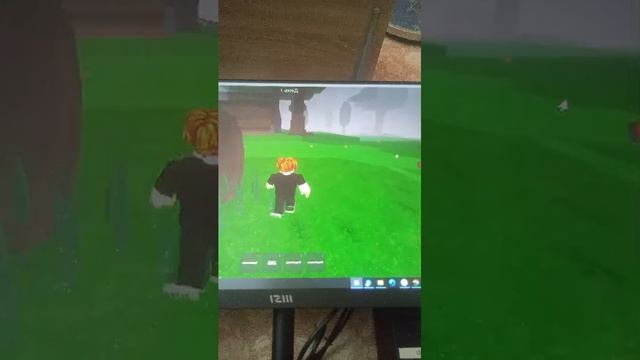 игра за бортпроводника