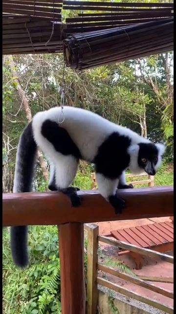 Когда выходишь на террасу, а там все смотреть онлайн