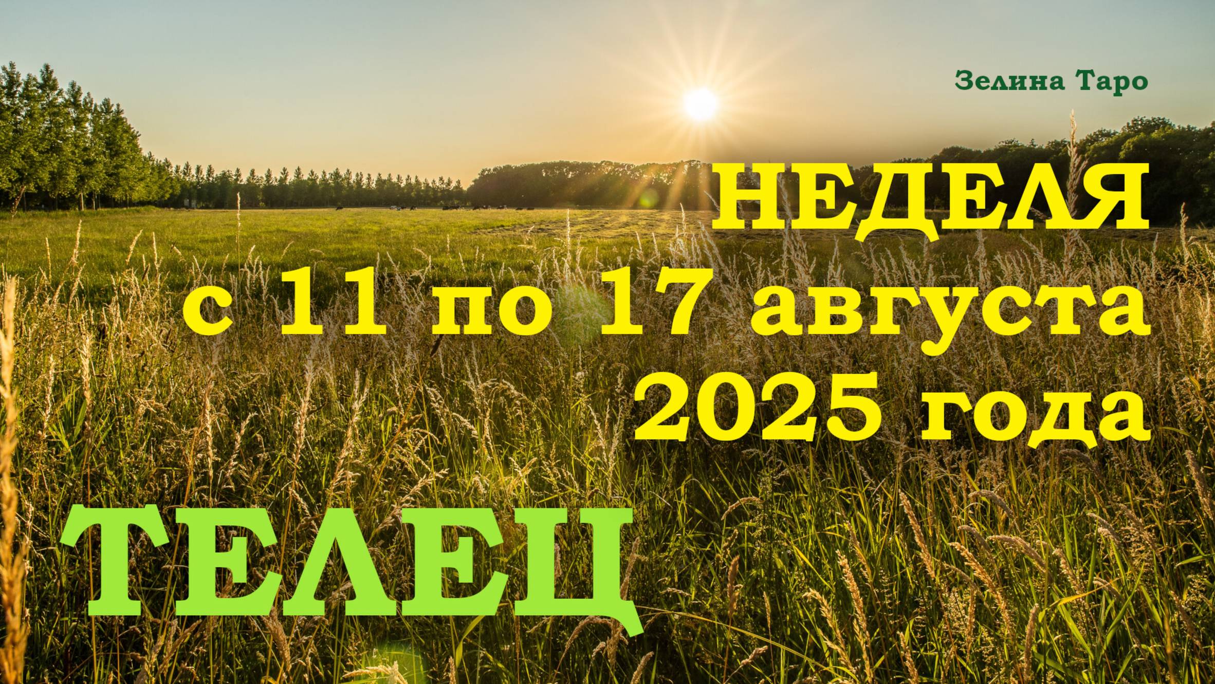 ТЕЛЕЦ | ТАРО прогноз на неделю с 11 по 17 августа 2025 года