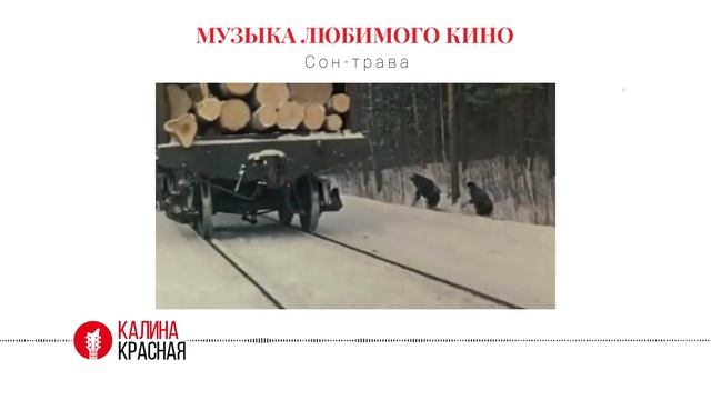 История песни «У беды глаза зеленые» («Сон-трава») из к/ф «Опасные друзья» 1979 г. смотреть онлайн
