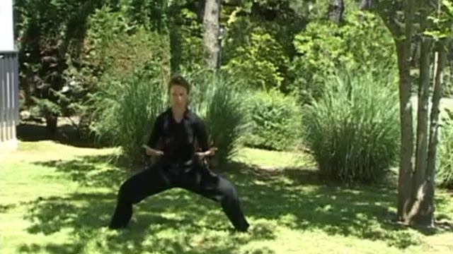 Цигун вибраций 12 органов из книги В.Заложнова Жемчежины цигун