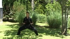 Цигун вибраций 12 органов из книги В.Заложнова Жемчежины цигун