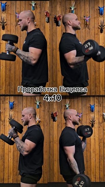 Сохроняй тренировку бицепса в 4рех разных вариантах💪😸
