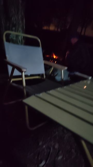 Я в лесу 4 смотреть онлайн