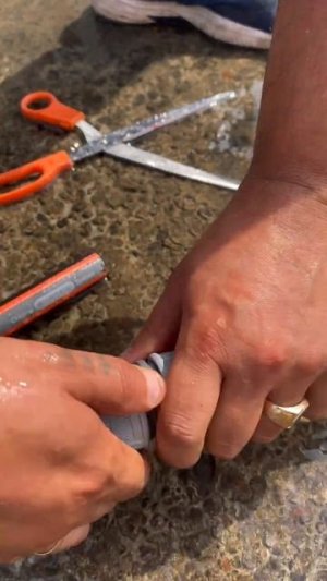 Быстрый ремонт поливочного шланга с помощью соединительного адаптера от Gardena 😉