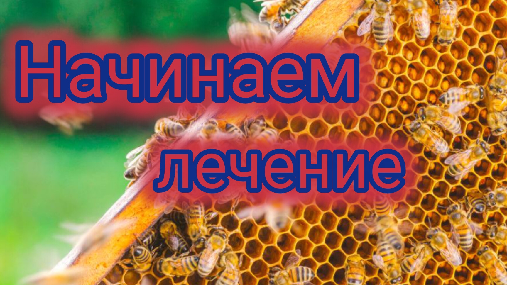 Начинаем лечение 🐝 смотреть онлайн