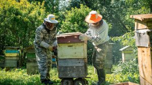 Один день из жизни алтайского пчеловода