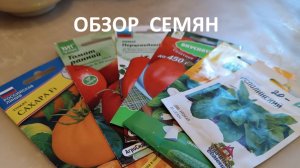 Обзор семян на 26 год.