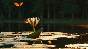 Озеро лесного короля Часть 5 Свобода и плен Мюзикл-сказка