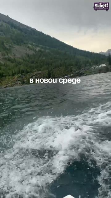 SKINJET•Авторские туры•Путешествия•Для косметолого