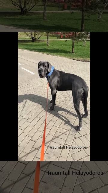 К прогулке готовы 🥰