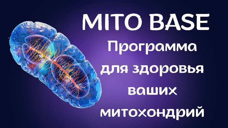 Программа для здоровья Ваших митохондрий