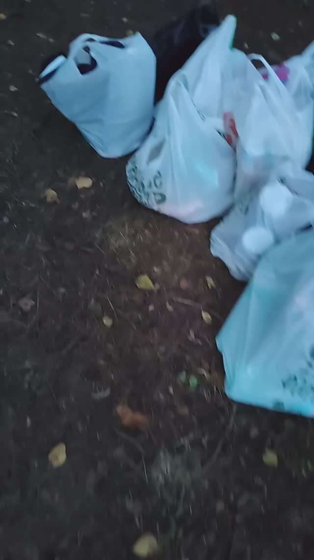 Я в лесу 2 смотреть онлайн