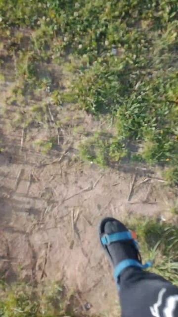 как это возможно смотреть онлайн