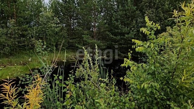 9250234 Витамин смотреть онлайн