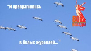 «...И превратились в белых журавлей» | Патриотическая акция