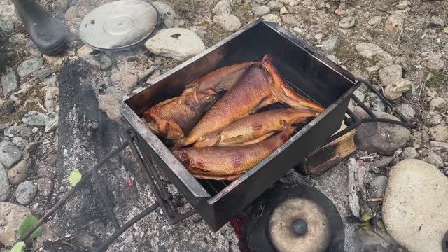 СУП 2025. 4 видео из 8.