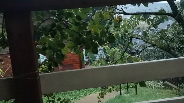 СОЧИ ГОРНОЕ ЛОО УТРО 08.08.2025 ДОЖДИ смотреть онлайн