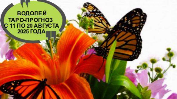 ВОДОЛЕЙ ТАРО-ПРОГНОЗ С 11 ПО 20 АВГУСТА 2025 ГОДА смотреть онлайн