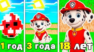 КАК МЕНЯЛСЯ МАРШАЛ ЩЕНЯЧИЙ ПАТРУЛЬ В МАЙНКРАФТ