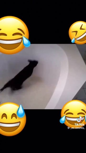 🤣🤣🤣🤣 смотреть онлайн