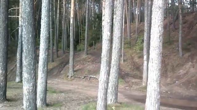 Я буду любить тебя - Автор музыка и поёт Алексей Брянцев смотреть онлайн