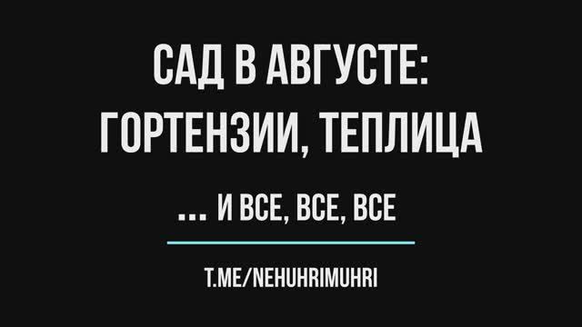 Cад в августе гортензии, теплица ... и все, все, все смотреть онлайн