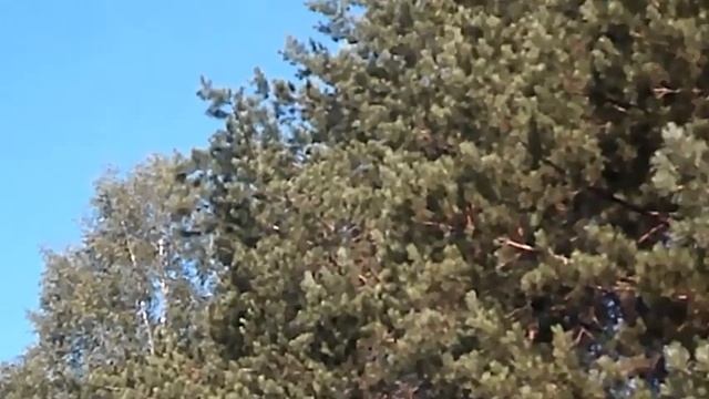 Кусочек счастья - Авторы музыка и поют Алексей Брянцев Елена Касьянова смотреть онлайн