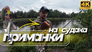Мои проверенные приманки НА СУДАКА.Рыбалка наКанале имени Москвы с берега .