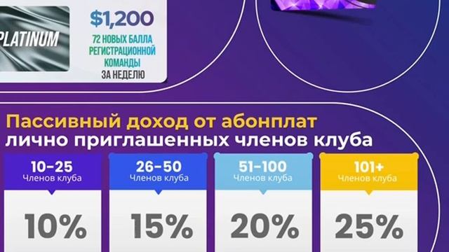 Бизнес план MWR Life