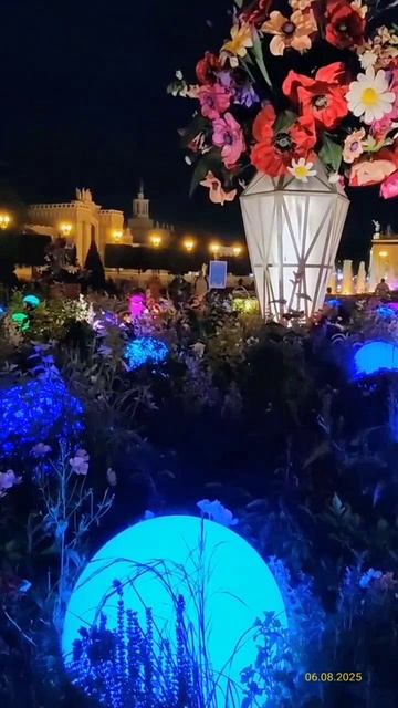 Арт-обьект «Главный букет страны» 06.08.2025