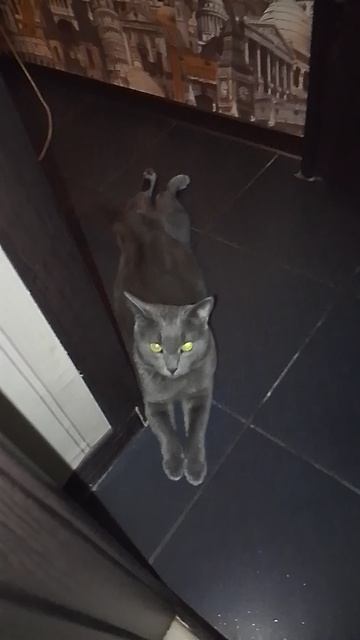 мой охранник