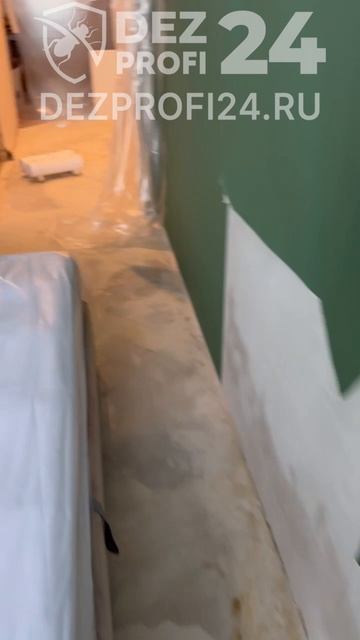 Уничтожение грибка и плесени под ключ