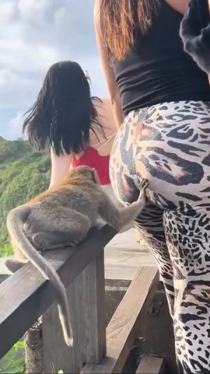 Что там прячет🧐