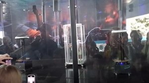 Я в клетке Фарадея
