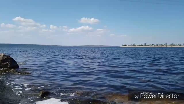 Как хочется побыть немного птицей