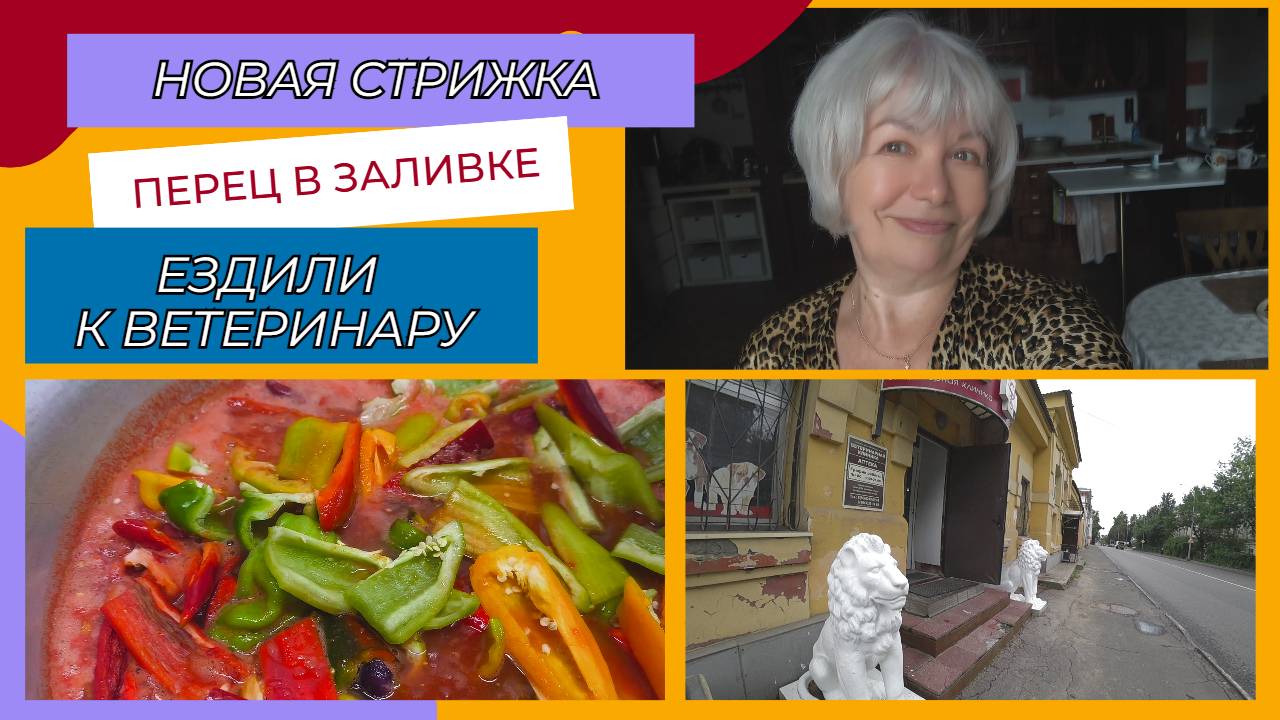 Сделала стрижку/Вот чьи котята/Перец в заливке/Возили кошку к ветеринару @SubTatiana смотреть онлайн