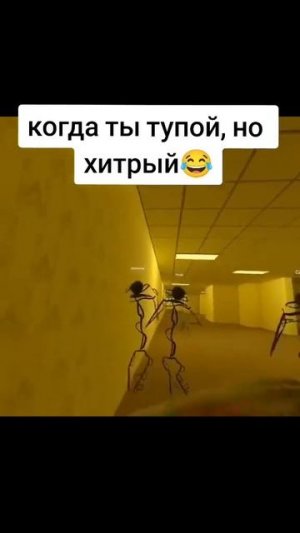 Когда я тупая но хитрая)