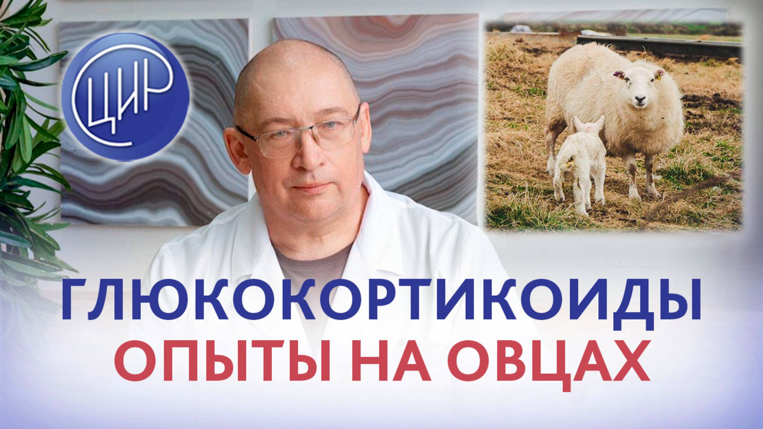 Глюкокортикоиды при беременности, влияние глюкокортикоидов на плод и на здоровье ребёнка в будущем. смотреть онлайн