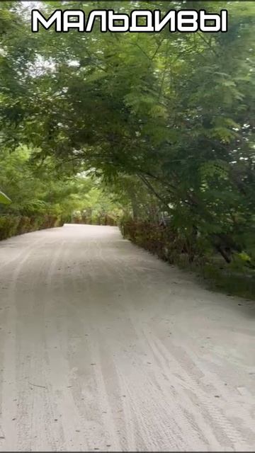 Яна - директор агентства недвижимости МДН. НОВОСТИ