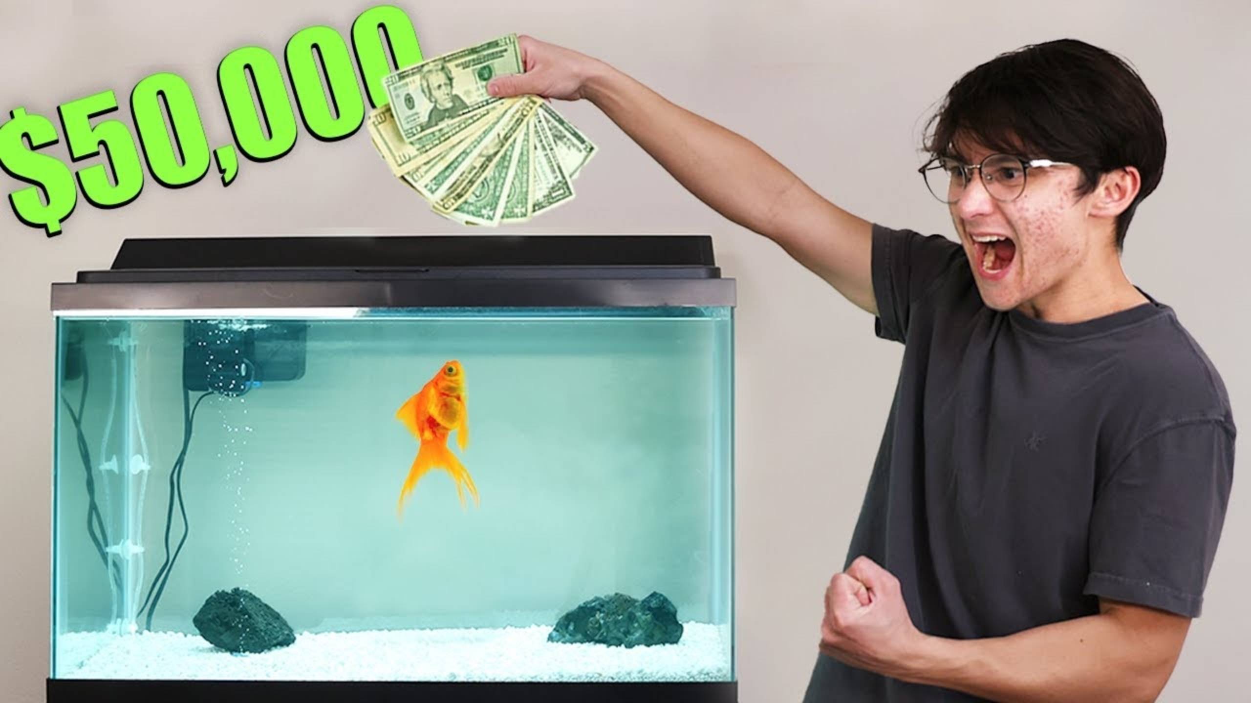 I Gave My Goldfish $50,000 To Trade Stocks | Michael Reeves