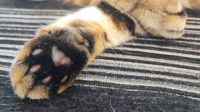 самые любимые 🍓🍓🍓🥰 смотреть онлайн