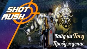 Black Desert BDO: Гайд Тоса /Dosa (Пробуждение в ПВЕ) от 08.08.25