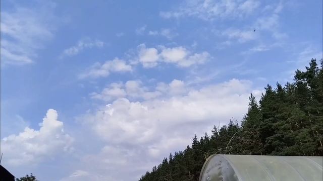 Движение облаков 27 июля 2025 смотреть онлайн